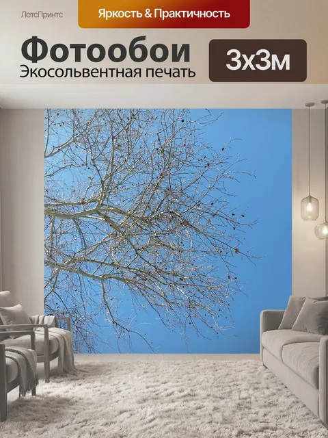 Фотообои Природа