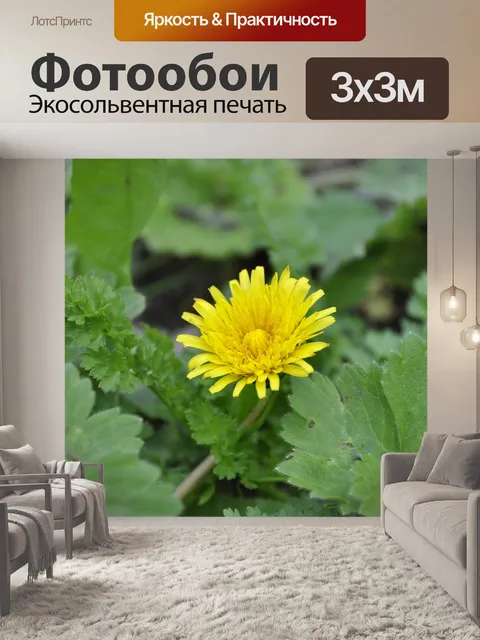 Фотообои Цветок