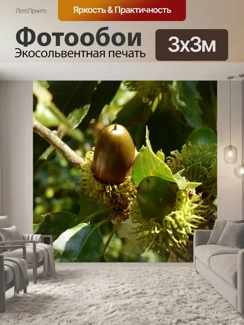 Фотообои Лес