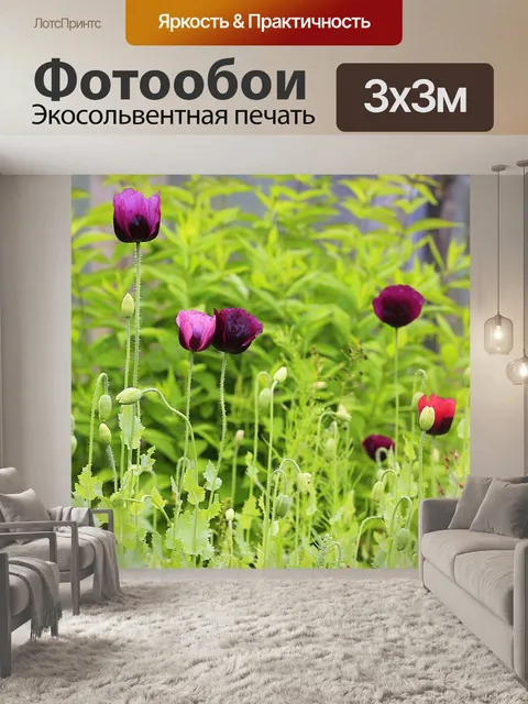 Фотообои Маки