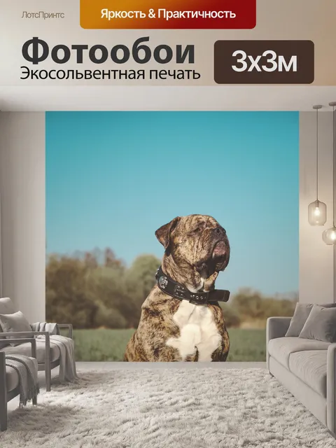 Фотообои Небеса