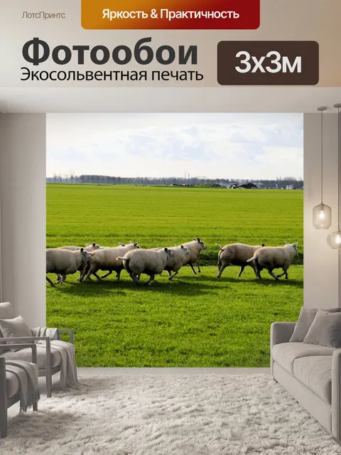 Фотообои Торопиться