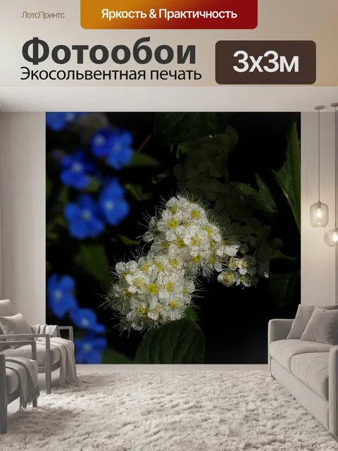 Фотообои Природа