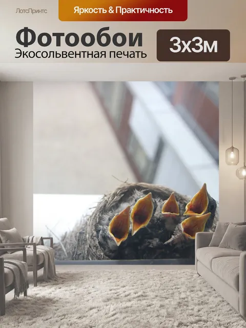 Фотообои Птица