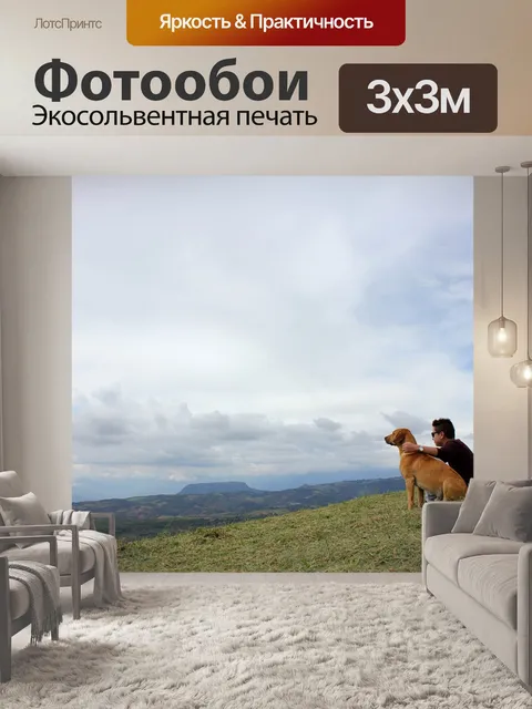 Фотообои Пушка