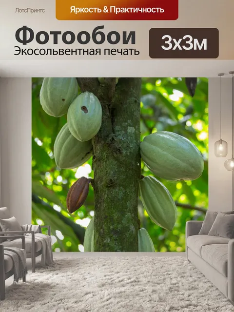 Фотообои Растущие какао-бобы