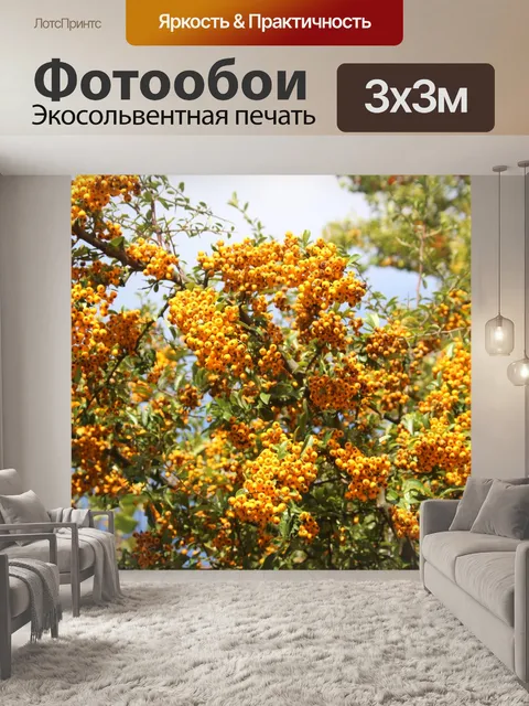 Фотообои Дерево
