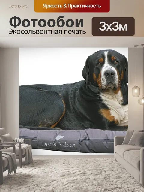 Фотообои Собака