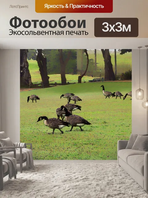 Фотообои Выпас гусей