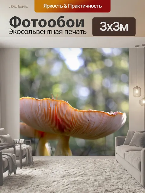 Фотообои Грибы