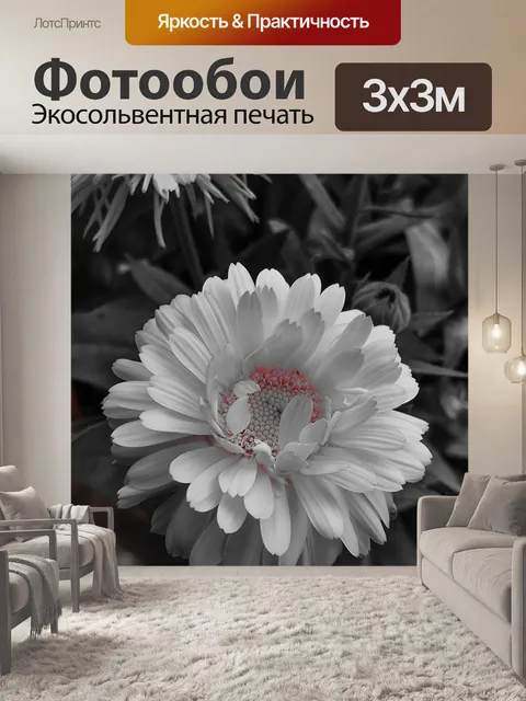 Фотообои Вертикальный p