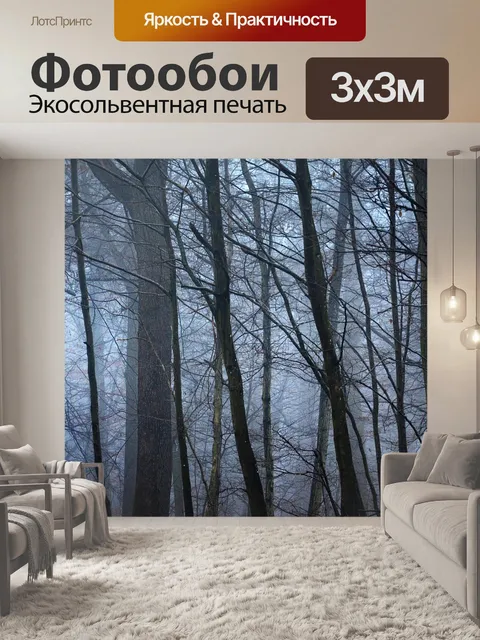 Фотообои Лес
