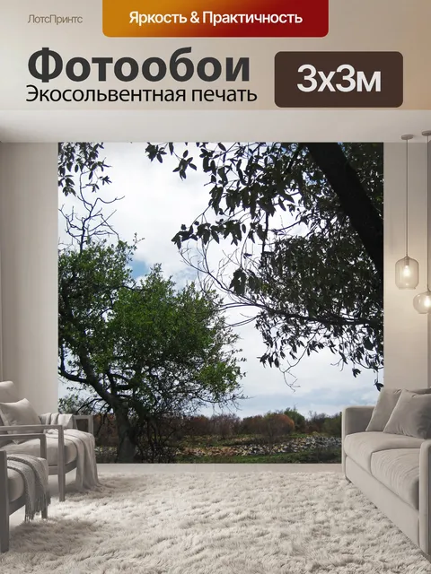 Фотообои большое дерево с толстыми ветвями