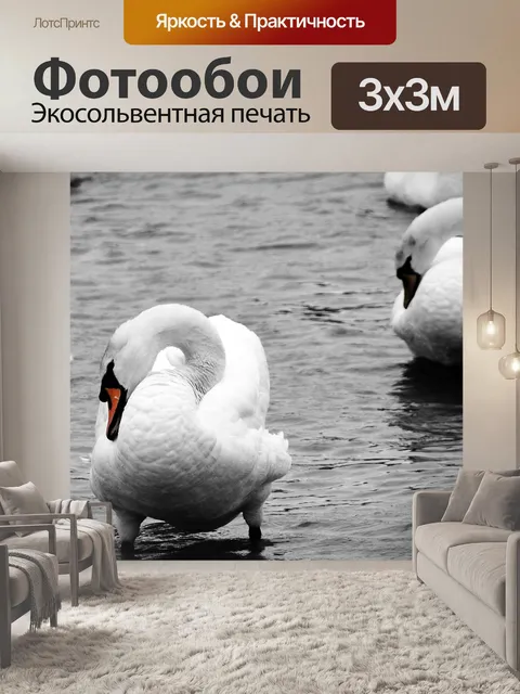 Фотообои Лебеди