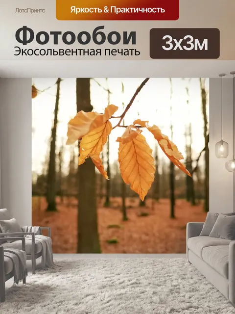 Фотообои Лес