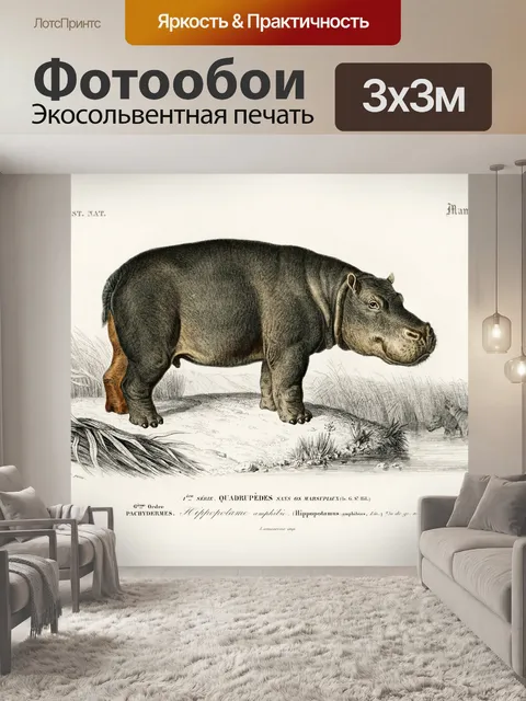 Фотообои Бегемот винтажное искусство старый