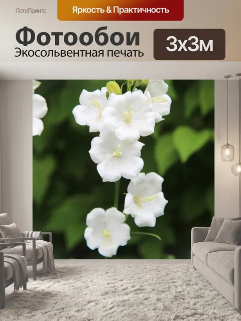Фотообои Белые цветы