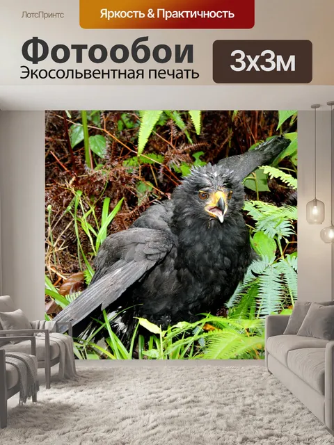 Фотообои Птица
