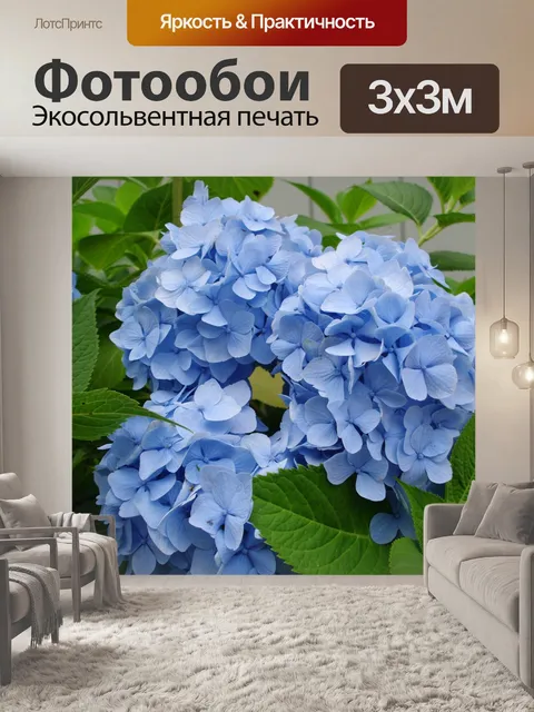 Фотообои Цветы