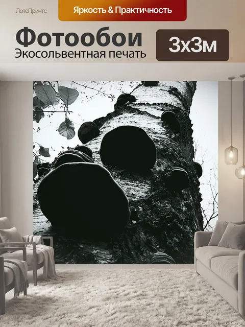 Фотообои Лес