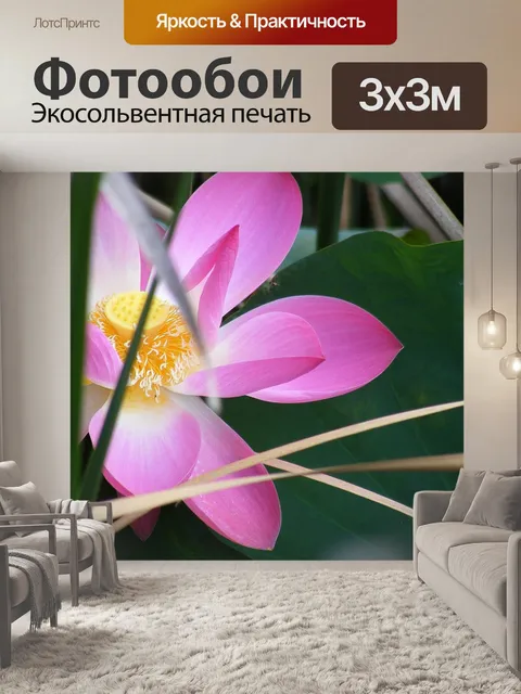 Фотообои Темный