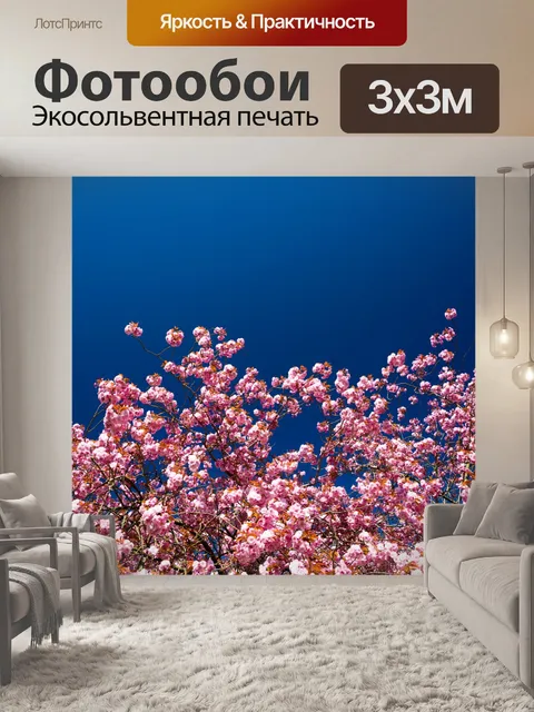 Фотообои Вишневый цвет и голубое небо