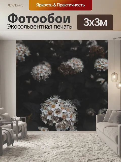 Фотообои Цветок цветы