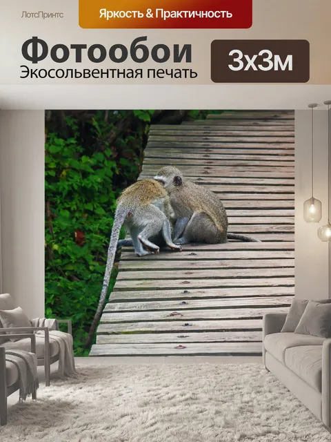 Фотообои две верветки на платформе