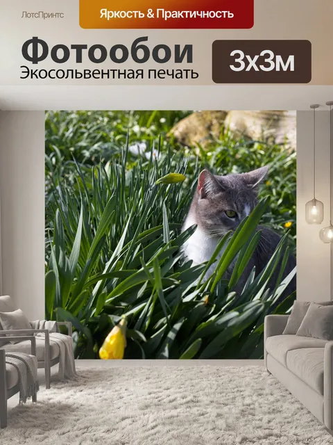 Фотообои Кошки