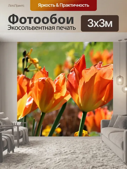 Фотообои Тюльпаны