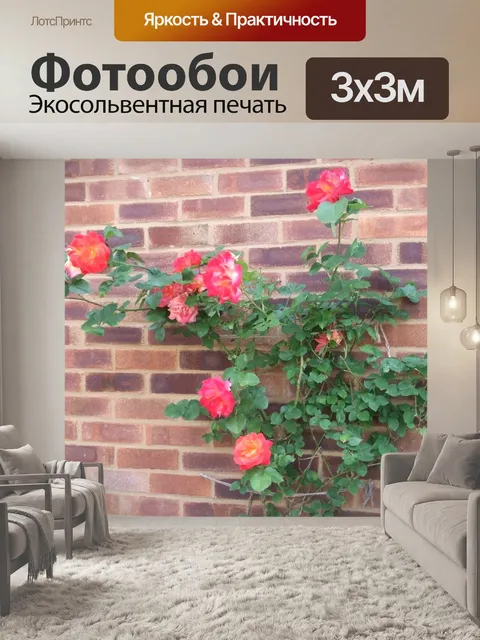 Фотообои Восхождение выросли