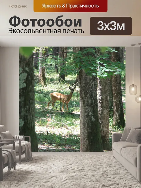 Фотообои Олень