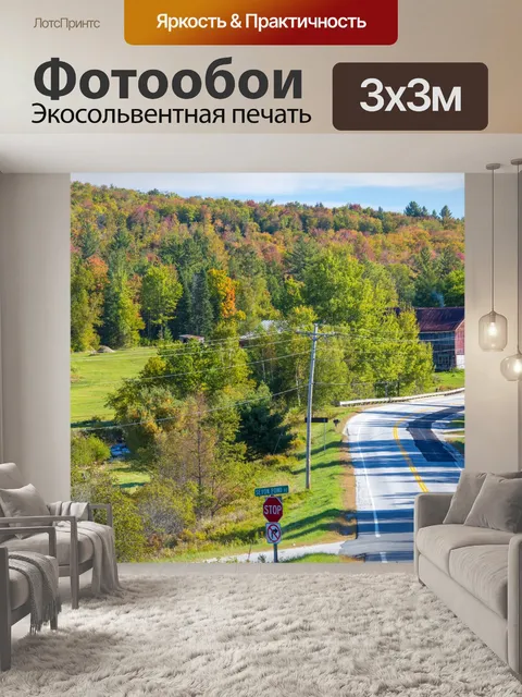Фотообои Дорожные и осенние деревья