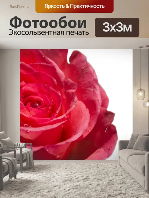 Фотообои Роза