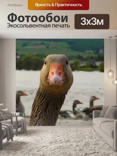 Фотообои Гусь