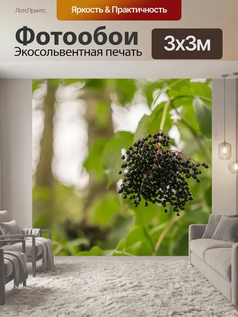 Фотообои Ягода
