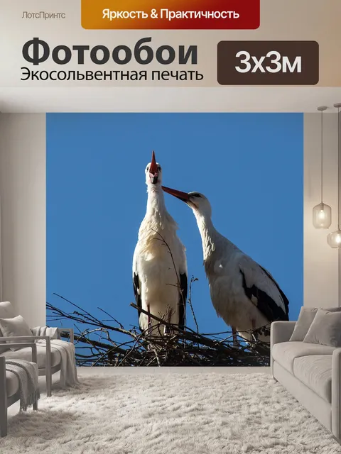 Фотообои Аист