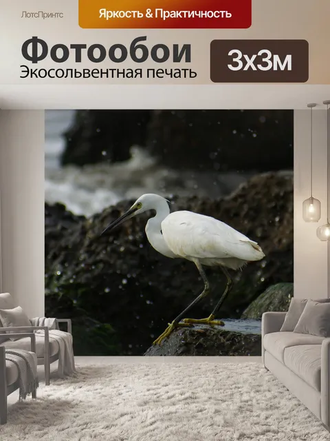 Фотообои Животное