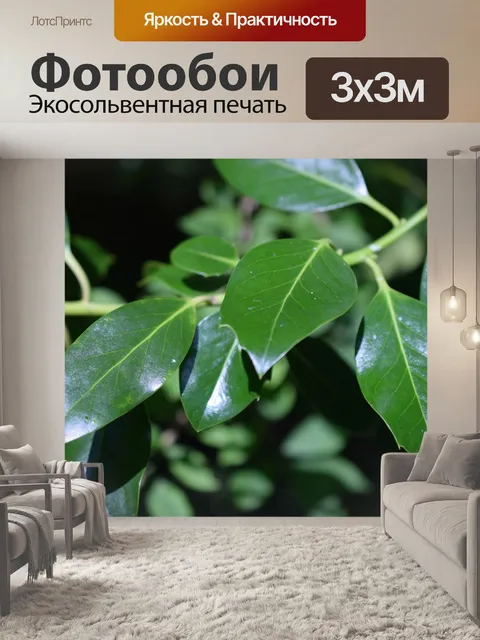 Фотообои Листья