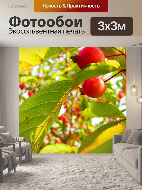 Фотообои Фрукты
