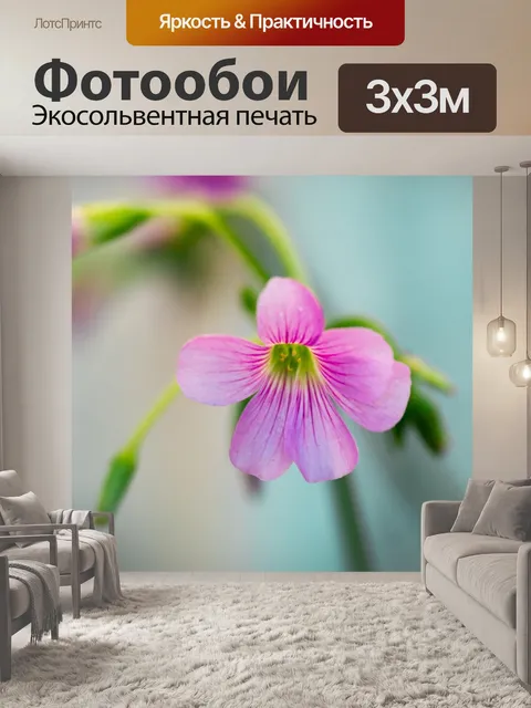 Фотообои Цветы