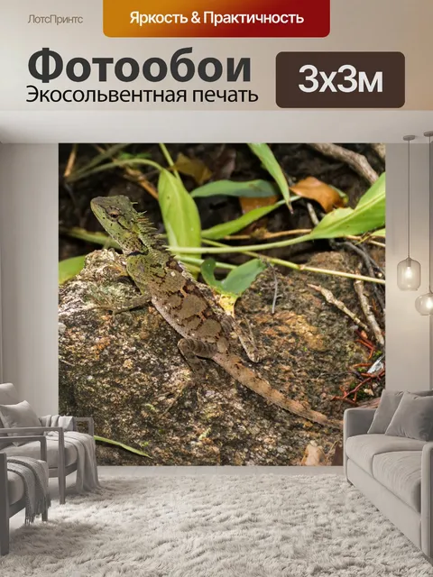 Фотообои Животное