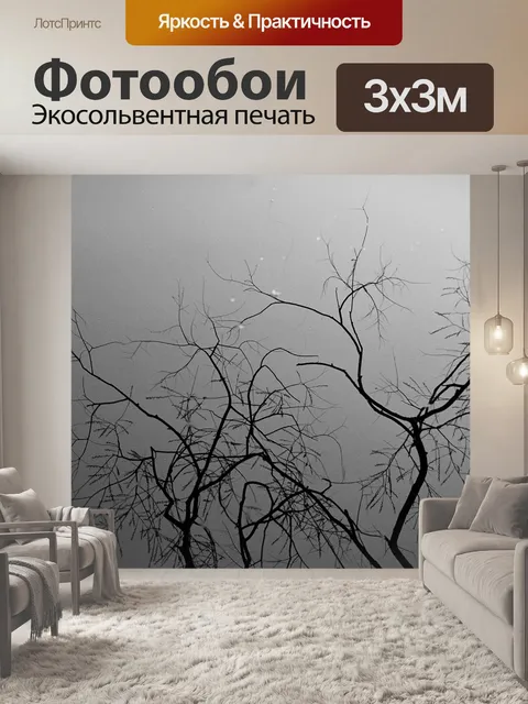 Фотообои Отражение