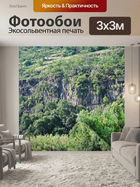 Фотообои Деревья против утесов