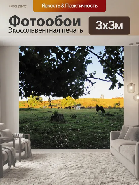 Фотообои Дракенсберг, Ква-Зулу, натальной