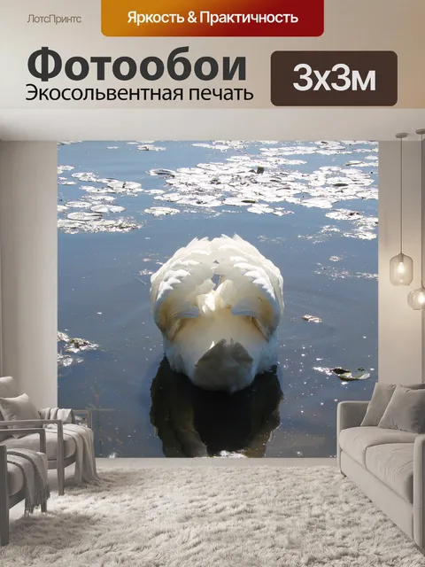 Фотообои Раздражать Ваши перья хвоста