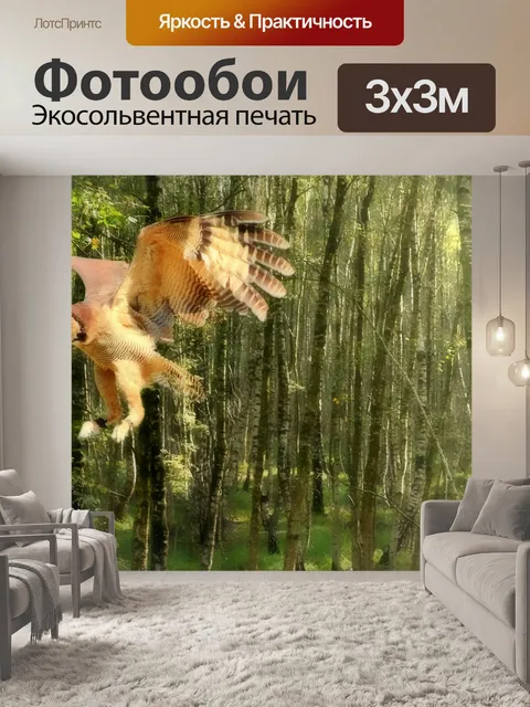 Фотообои Сова