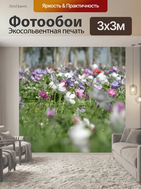 Фотообои Цвет