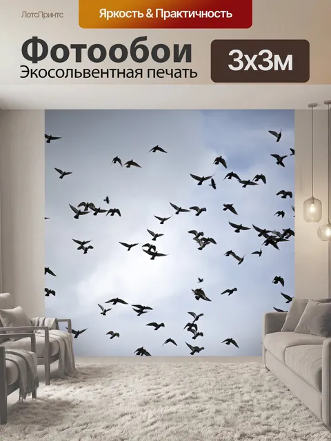 Фотообои Летающие птицы