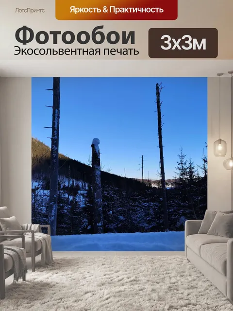 Фотообои Зима